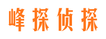 城步侦探公司